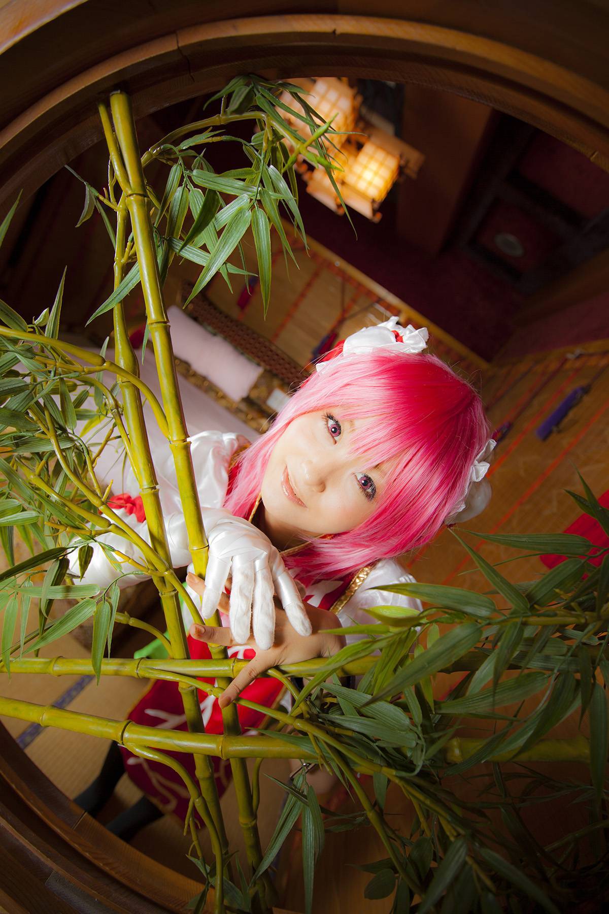 [Cosplay] New Touhou Project Cosplay set - Awesome Kasen Ibara